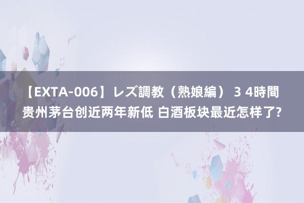 【EXTA-006】レズ調教（熟娘編） 3 4時間 贵州茅台创近两年新低 白酒板块最近怎样了?