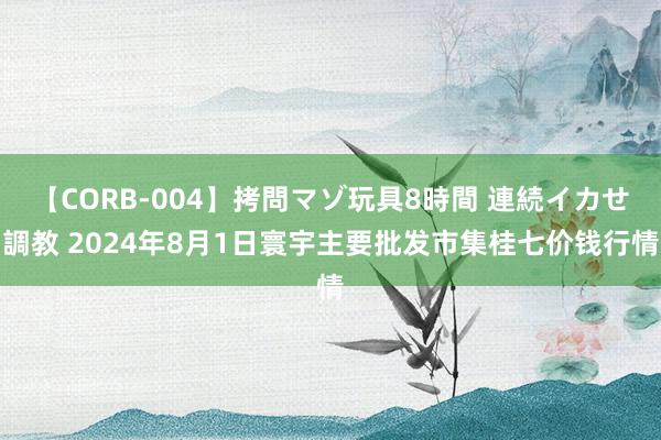 【CORB-004】拷問マゾ玩具8時間 連続イカせ調教 2024年8月1日寰宇主要批发市集桂七价钱行情