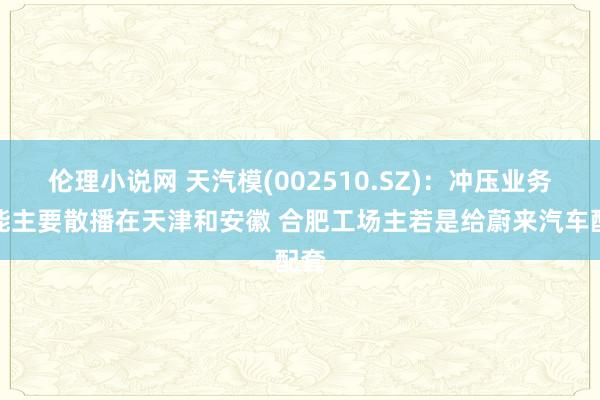 伦理小说网 天汽模(002510.SZ)：冲压业务产能主要散播在天津和安徽 合肥工场主若是给蔚来汽车配套