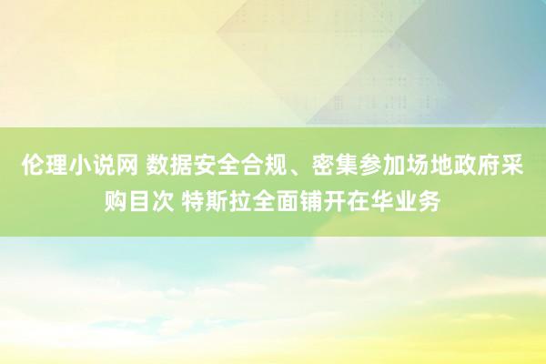 伦理小说网 数据安全合规、密集参加场地政府采购目次 特斯拉全面铺开在华业务