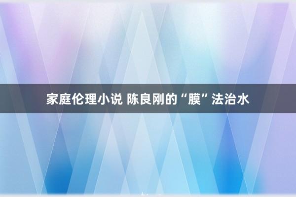 家庭伦理小说 陈良刚的“膜”法治水