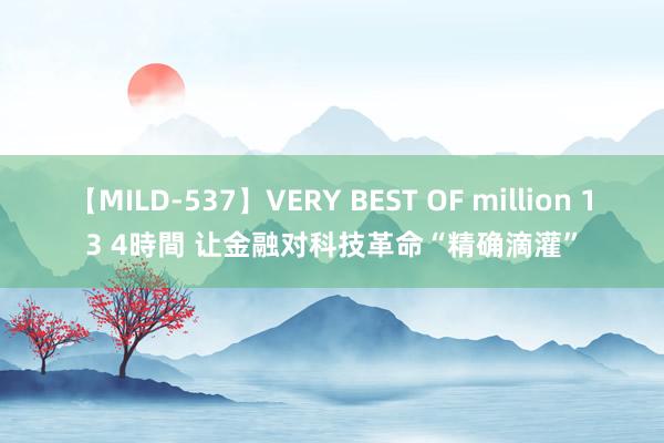 【MILD-537】VERY BEST OF million 13 4時間 让金融对科技革命“精确滴灌”