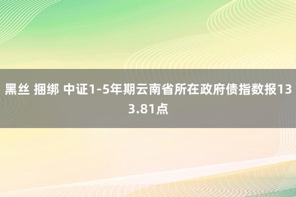 黑丝 捆绑 中证1-5年期云南省所在政府债指数报133.81点