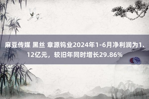 麻豆传媒 黑丝 章源钨业2024年1-6月净利润为1.12亿元，较旧年同时增长29.86%