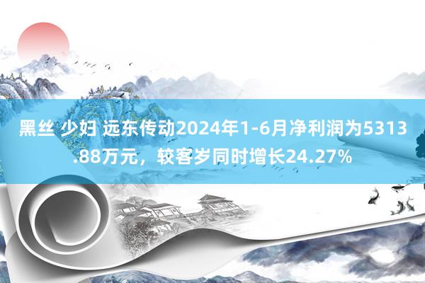 黑丝 少妇 远东传动2024年1-6月净利润为5313.88万元，较客岁同时增长24.27%