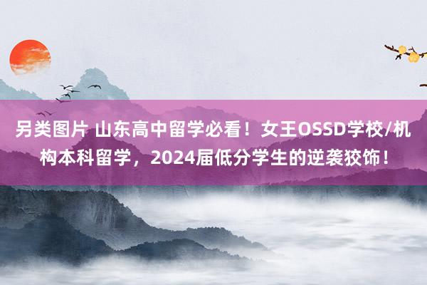 另类图片 山东高中留学必看！女王OSSD学校/机构本科留学，2024届低分学生的逆袭狡饰！