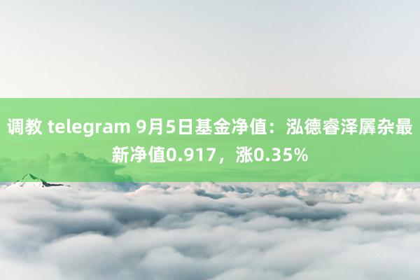 调教 telegram 9月5日基金净值：泓德睿泽羼杂最新净值0.917，涨0.35%