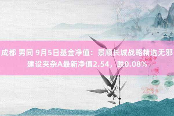 成都 男同 9月5日基金净值：景顺长城战略精选无邪建设夹杂A最新净值2.54，跌0.08%