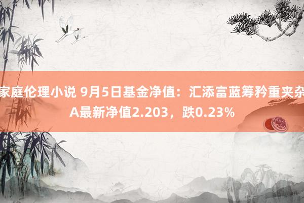 家庭伦理小说 9月5日基金净值：汇添富蓝筹矜重夹杂A最新净值2.203，跌0.23%