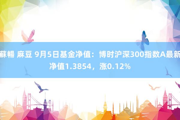 蘇暢 麻豆 9月5日基金净值：博时沪深300指数A最新净值1.3854，涨0.12%