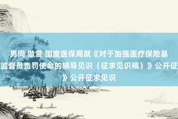 男同 做爱 国度医保局就《对于加强医疗保险基金社会监督员责罚使命的辅导见识（征求见识稿）》公开征求见识