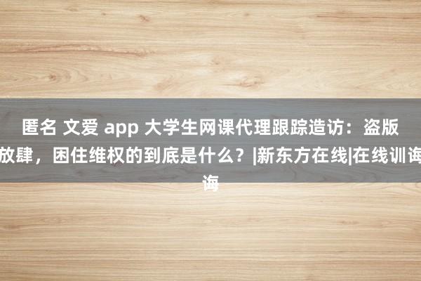 匿名 文爱 app 大学生网课代理跟踪造访：盗版放肆，困住维权的到底是什么？|新东方在线|在线训诲