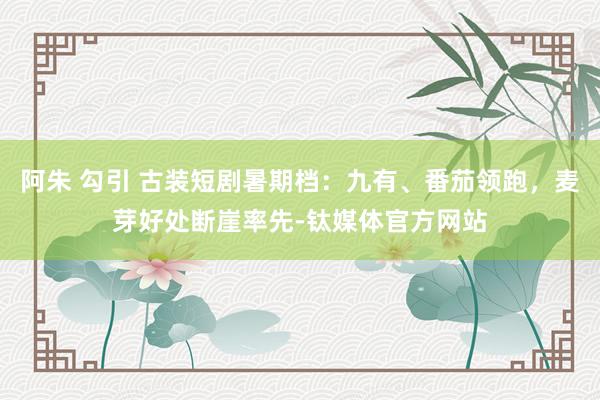 阿朱 勾引 古装短剧暑期档：九有、番茄领跑，麦芽好处断崖率先-钛媒体官方网站