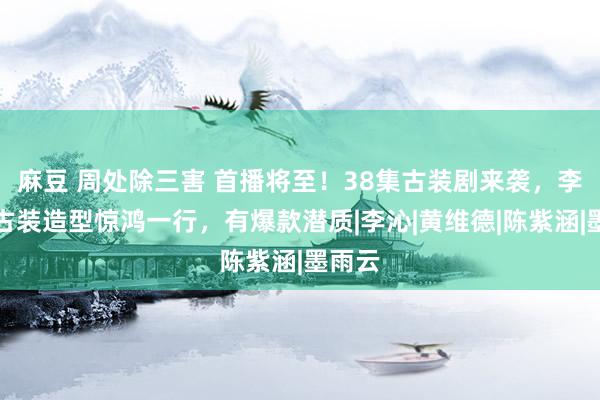 麻豆 周处除三害 首播将至！38集古装剧来袭，李一桐古装造型惊鸿一行，有爆款潜质|李沁|黄维德|陈紫涵|墨雨云