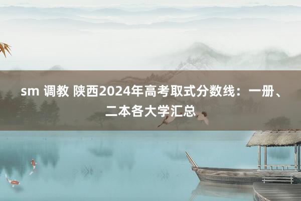 sm 调教 陕西2024年高考取式分数线：一册、二本各大学汇总