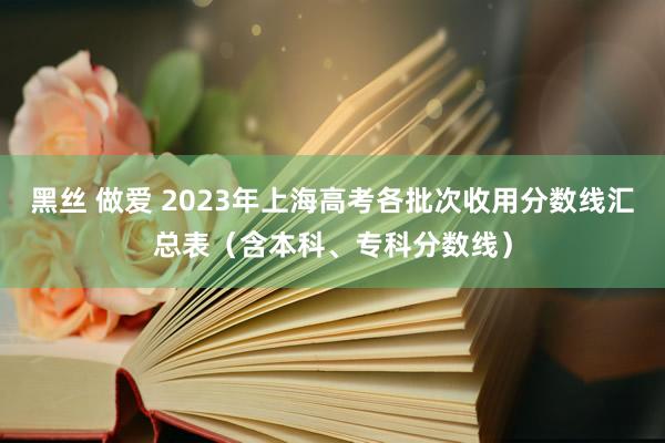 黑丝 做爱 2023年上海高考各批次收用分数线汇总表（含本科、专科分数线）